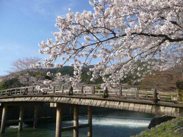 Hotel Arrows Arashiyama 교토 외부 사진